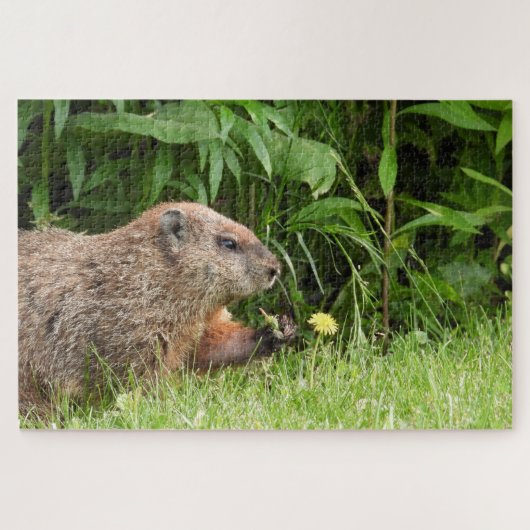 Schattige Groundhog-ploegenvloeren Jigzaag Puzzle Legpuzzel (Horizontaal)