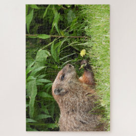 Schattige Groundhog-ploegenvloeren Jigzaag Puzzle Legpuzzel