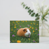 Schattige Guinea Pig Flower Grass Natuur Cavia Bri Briefkaart (Staand voorkant)
