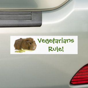 Schattige Guinee-Varkens Eatselderij Fotografie Bumpersticker