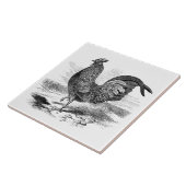 Schattige haan boerderij decor tegel tegeltje (Zijkant)