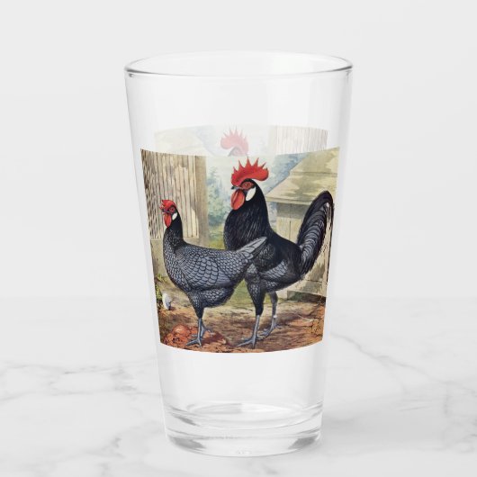 Schattige  haan hen Landglas Glas (Achterkant)