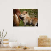 Schattige Haflinger Foal Poster (Keuken)