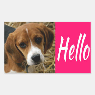 Schattige Hallo / Hoi Beagle Puppies Hond Begroeti Rechthoekige Sticker