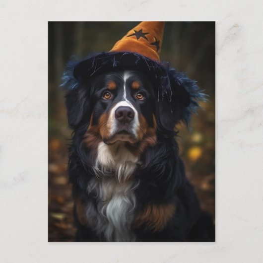 Schattige Halloween Berner Berghond Briefkaart (Voorkant)