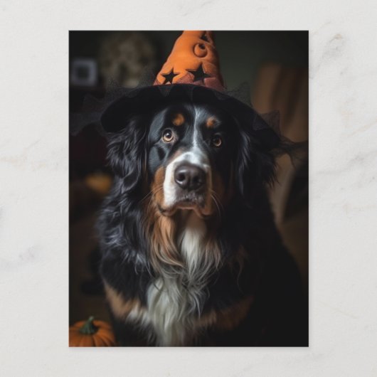 Schattige Halloween Berner Berghond Briefkaart (Voorkant)