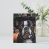 Schattige Halloween Boston Terrier Briefkaart (Staand voorkant)