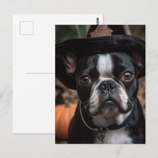 Schattige Halloween Boston Terrier Briefkaart (Voorkant / Achterkant)