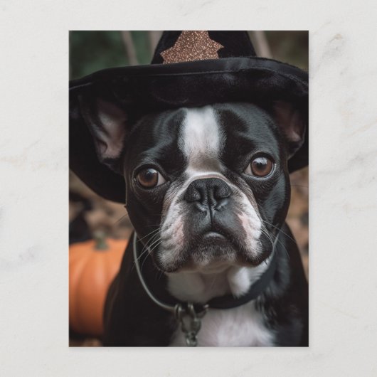Schattige Halloween Boston Terrier Briefkaart (Voorkant)