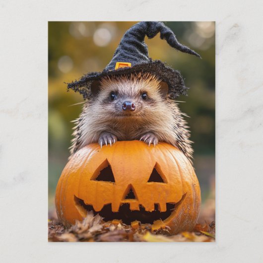 Schattige Halloween Hedgehog Briefkaart (Voorkant)