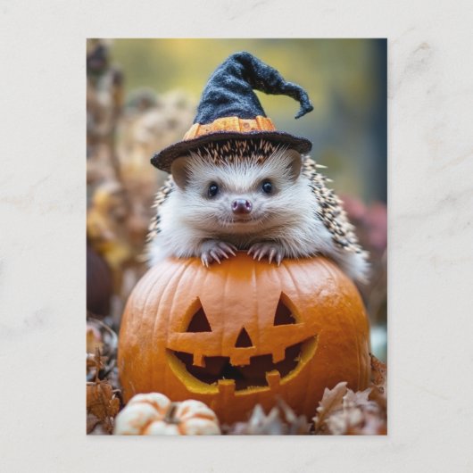 Schattige Halloween Hedgehog Briefkaart (Voorkant)