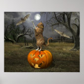 Schattige Halloween Sinaasappel Kat Batting Bats Poster (Voorkant)