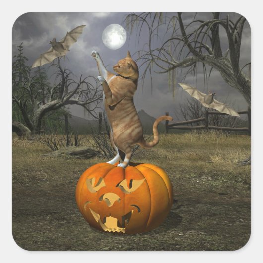 Schattige Halloween Sinaasappel Kat Batting Bats Vierkante Sticker (Voorkant)