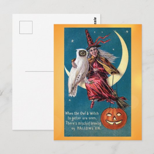 Schattige Halloween Witch Owl Victoriaans gedicht Briefkaart (Voorkant / Achterkant)