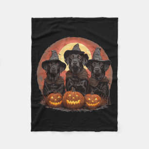 Schattige Halloween Zwarte Labrador Retriever Hond Fleece Deken