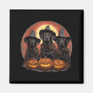 Schattige Halloween Zwarte Labrador Retriever Hond Magneet