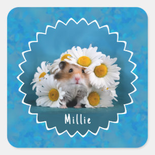 Schattige hamster in White Daisy Bouquet Vierkante Sticker