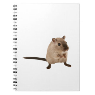 schattige hamster notitieboek