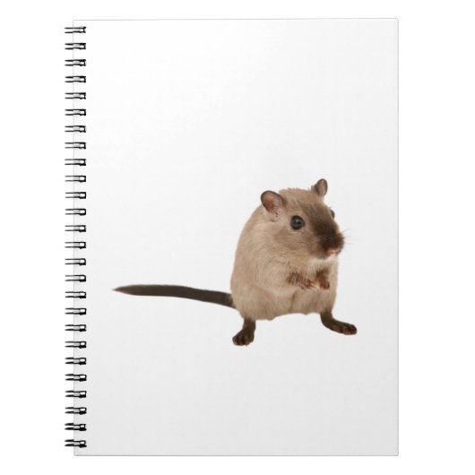 schattige hamster notitieboek (Voorkant)