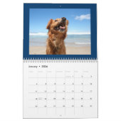 Schattige & Happy Dogs Kalender 2024 (Jan 2026)