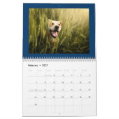 Schattige & Happy Dogs Kalender 2024 (Feb 2027)