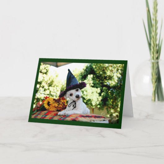 Schattige Happy Thanksgiving Dog Wenskaart Feestdagen Kaart (Voorkant)