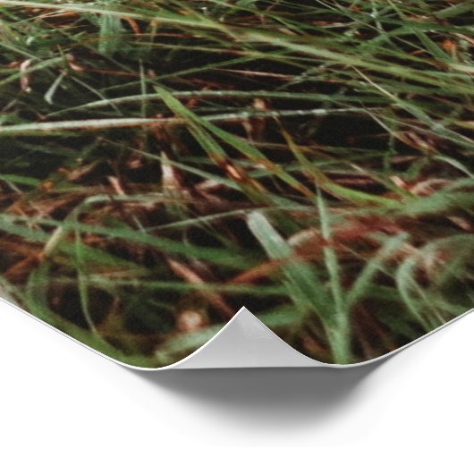 SCHATTIGE HART HOU VAN JE MAMA MOEDERDAG POSTER (Hoek)