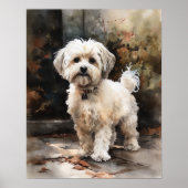 Schattige Havanese Dog Art Print Poster (Voorkant)