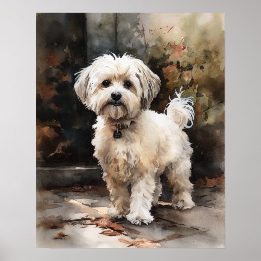 Schattige Havanese Dog Art Print Poster (Voorkant)