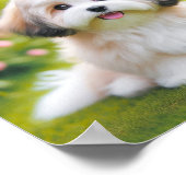 schattige Havanese hond Poster (Hoek)