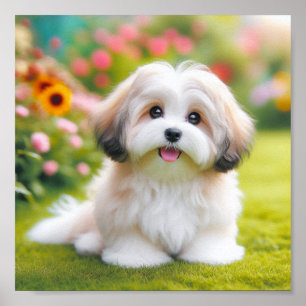 schattige Havanese hond Poster