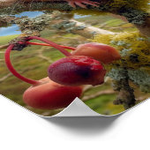 Schattige Hazel Dormouse in een bos Poster (Hoek)