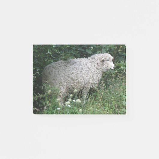 Schattige Hebzuchtige Schaap Eet Post-it-notities Post-it® Notes (Voorkant)