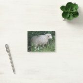 Schattige Hebzuchtige Schaap Eet Post-it-notities Post-it® Notes (Kantoor)