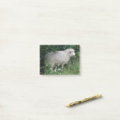 Schattige Hebzuchtige Schaap Eet Post-it-notities Post-it® Notes (Op bureau)