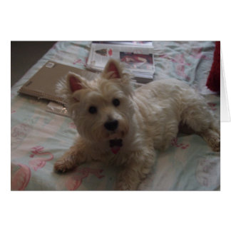 schattige hefboomkaart!