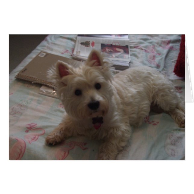 schattige hefboomkaart! (Voorkant Horizontaal)