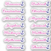 Schattige Helder Roze Anker 14 Aangepaste namen va Sticker (Voorkant)