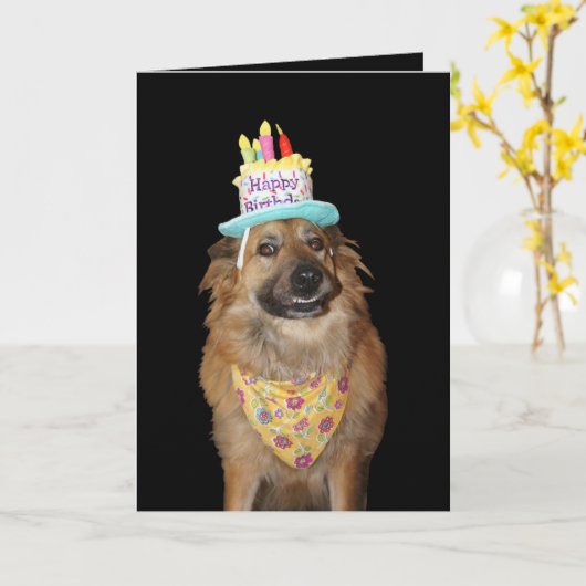 Schattige herdermix verjaardagshond kaart (Gele Bloem)