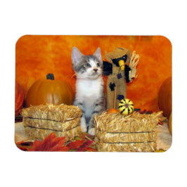 Schattige Herfst van Pork Chop / Autumn Cat / Kitt Magneet