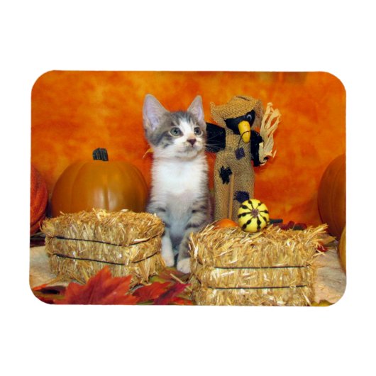 Schattige Herfst van Pork Chop / Autumn Cat / Kitt Magneet (Horizontaal)