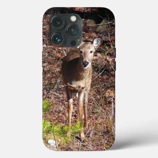 Schattige herten in het bos Natuurfotografie Case-Mate iPhone Case (Achterkant)