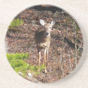 Schattige herten in het bos Natuurfotografie Zandsteen Onderzetter