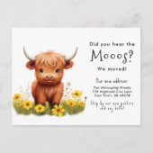 Schattige Highland Koe Moving Announcement Briefka Briefkaart (Voorkant)