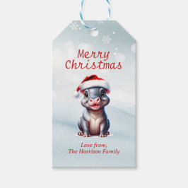 Schattige Hippopotamus Santa Hat Sneeuwwitje Kerst Cadeaulabel