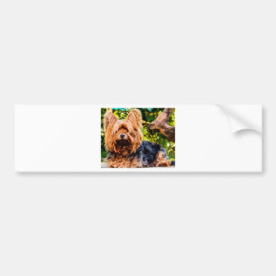 Schattige Hond Aai Yorkie Vrede Liefde Bestemming  Bumpersticker