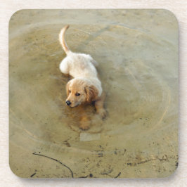 schattige hond bier onderzetter