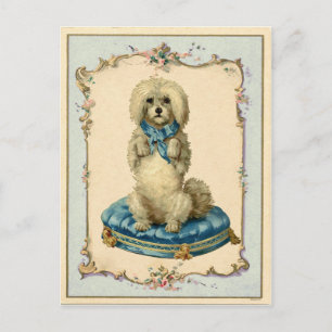 Schattige Hond Blauwe Kussen Vintage Reproductie Briefkaart