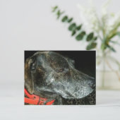 Schattige hond briefkaart (Staand voorkant)