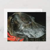 Schattige hond briefkaart (Voorkant / Achterkant)